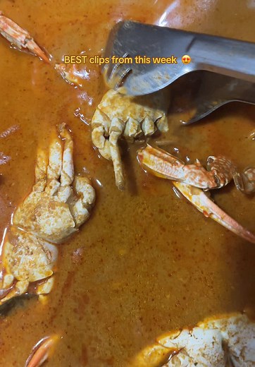 coffeecolomboofficial on TikTok