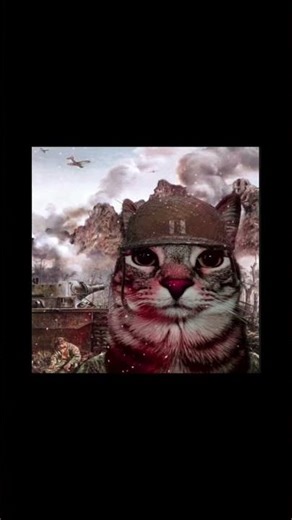 Cat édit 😼 #eren #roblox #fyb #horror #backrooms #gaming #catedit #onepiece #luffy #cat #funnyshort