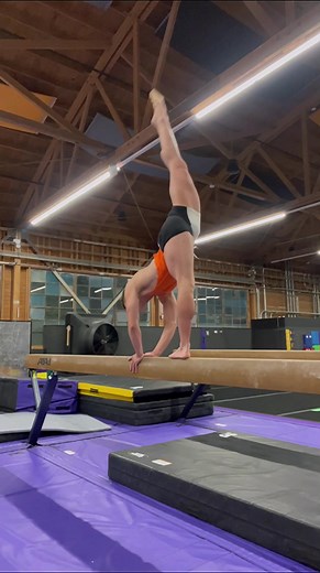 Wolf Turn Progress on High Beam