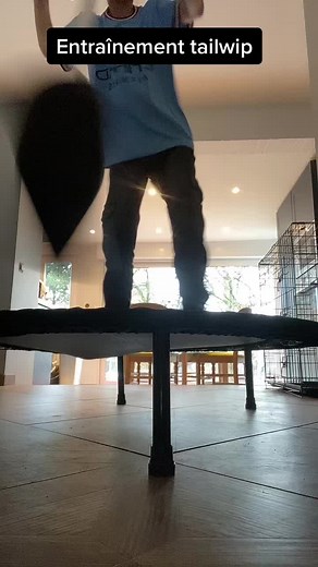 #edit #tramposcoot #tailwip