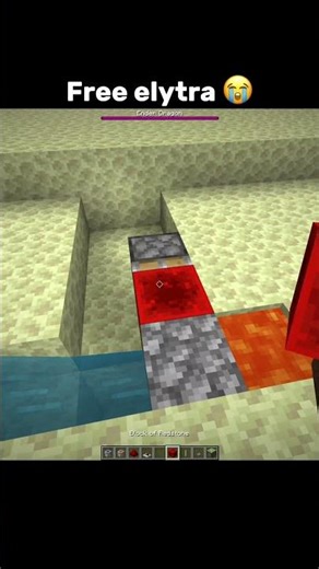 Free elytra 😭 #minecraft #shorts