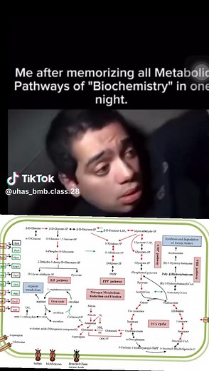 Understanding Metabolic Pathways in Biochemistry