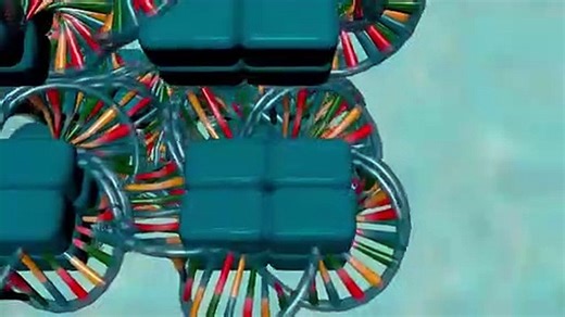 Chromosome_structure_-_Medical_animation(360p)