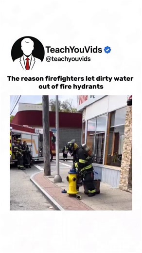 Teach You Vids on Instagram: "The reason firefighters let dirty water out of fire hydrants  — it’s called hydrant flushing. This clears out rust, sediment, and stagnant water to keep the system clean and ready for real emergencies. This video is for educational purposes only. DM for credit/removal. #Firefighters #HydrantFlushing #DidYouKnow #EducationalContent #LearnSomethingNew #EverydayScience #PublicSafety #WaterSystems #CityMaintenance #FireSafety"
