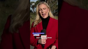 School bus crash causes life-changing injuries - The Global Herald