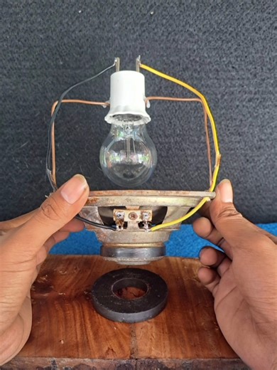 Free Energy Generator on Instagram: "how to generate free energy using speaker magnét"