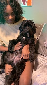 Listen @iamblackybrown in here with an attitude tonight!! Acting like he got a full time 3rd shift position somewhere! Apparently he and the boss man had some words last night and it has stressed him out! @tonybakercomedy please give Blacky a voice for the people! 😂 #Blackybrown #TabithaBrown #Puppylove #Doglover | Tabitha Brown