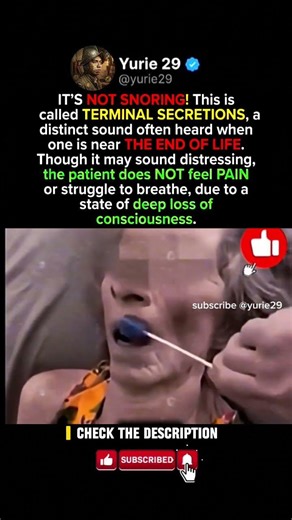 The Science Behind the Sound You’ll Never Forget 🤫✨