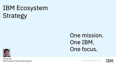 IBM Ecosystem Strategy 2024