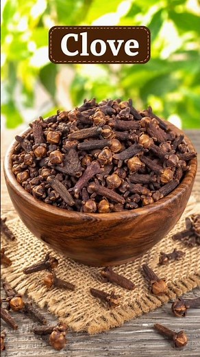 Top 5 Powerful Health Benefits of Clove 🌿 #shorts #viral #healthtips #clove #reels #homeremedies