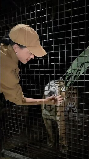 this is what I did to beat jet lag last night nbd SYDNEY ARE YOU READY⁉️