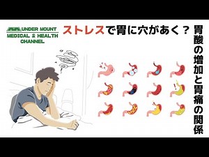 ストレスで胃に穴があく？ 胃酸の増加と胃痛の関係