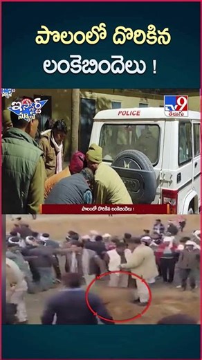 iSmart News: Lankebindelu found in the field! | Rajasthan - TV9