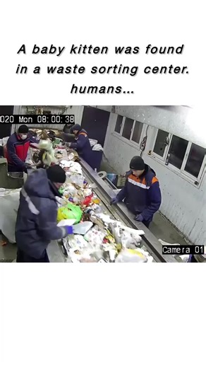 Observing Human Behavior: Fun and Insightful Moments