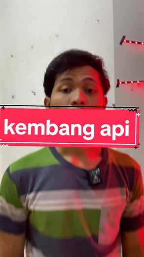 Lampu Kembang Api LED Master Jakarta