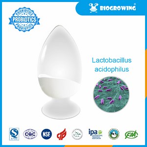 [Hot Item] Factory Price Lactobacillus Acidophilus Probiotics Raw Material