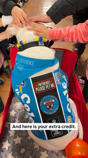 Homework Is Important #homework #therapydog #dogsofinstagram #fy #foryoupage | Cole the Deaf Dog- The Team Cole Project