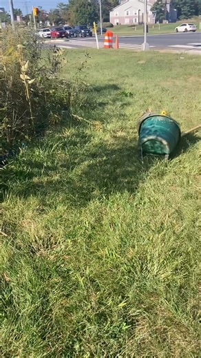 30 reactions · 4 comments | Sterling Foundation, Virginia on Reels | Facebook