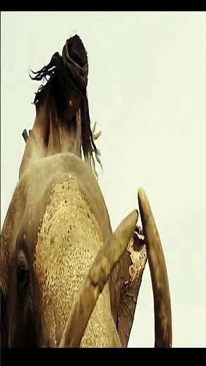 Ong Bak 2: The Beginning the Elephant Rider 2022, #shorts