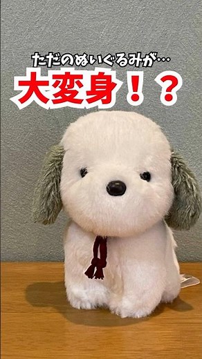 【Gemini】カウンセリング集客にAI活用《想い》を伝える方法。開業12年/公認心理師 #公認心理師中村綾子#公認心理師開業
