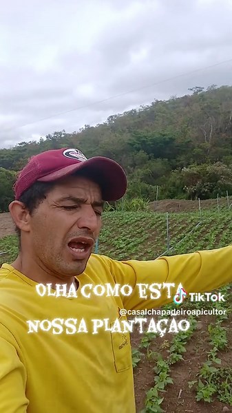 Plantação de Feijão na Chácara #vidanafoça #apicultura #nortedeminas #roça #agro