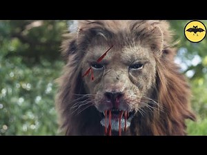 Los 6 Ataques de León Mas Escalofriantes de la Historia.