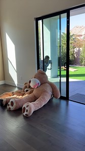 Woman try to escape cop #Reels | Vu Bros