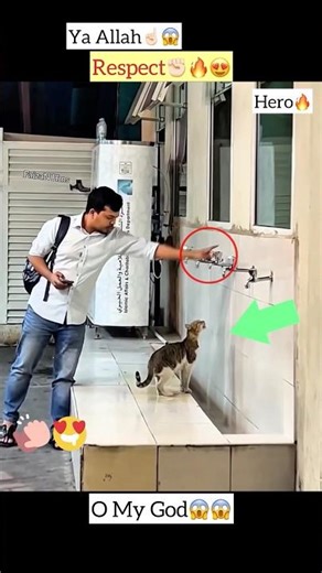 MashAllah ☝️😰 Respects ❤️#shorts #status #shorts