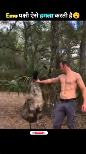 Emu पक्षी के हमले से ऐसे बचे😳| Emu Bird Attack #fact #facts #shorts #viral #dailyfacts