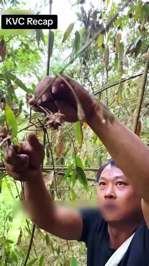 KVC Recap: Insights and Knowledge Sharing