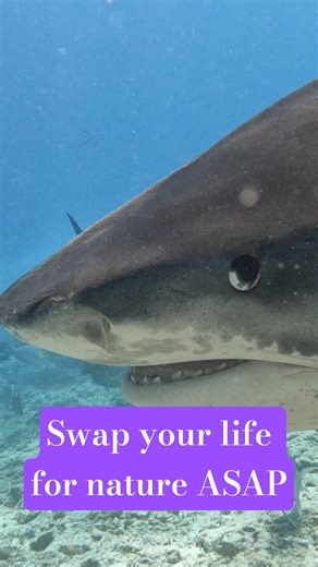 If a NYC graphic designer can swap the subway for the sea, so can you 🩵🌊 #outdoorsey #travelmeme