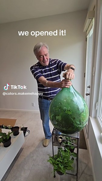 Fascinating Terrarium Experiment: See a 70s Ecosystem in Action!