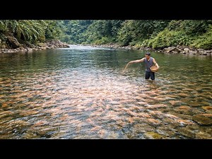 Primitive Fish Farming: How to Start a Fish Farm from Scratch, Breed & Raise Millions of Fry