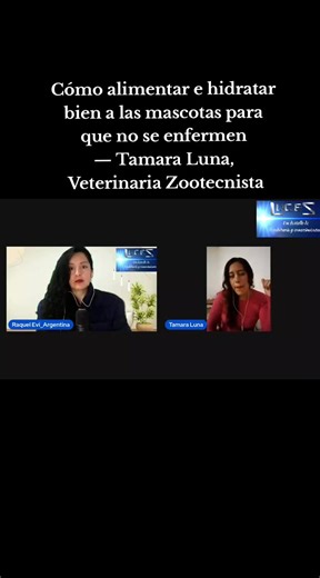 🎙️ Este video es solo un fragmento de la entrevista con la Dra Tamara Luna. 📍La entrevista completa y gratuita está disponible. 👉 Encontrás la dirección en el primer comentario. #mascotas #gatosdivertidos | LUCES Un Destello de Sabiduría y Conocimiento