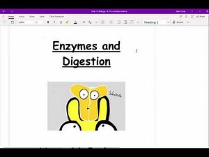 CCEA GCSE Biology enzymes