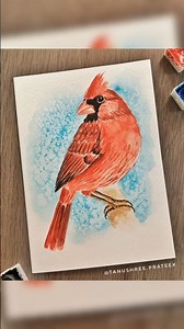 Cardinal | Bird watercolor painting #youtubeshorts