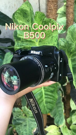 Nikon Coolpix B500: Beginner-Friendly Camera Review