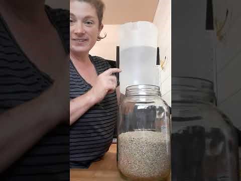 How to ferment Rice