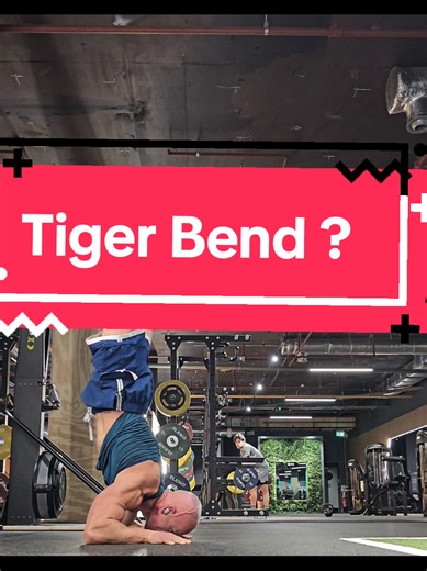 Tigerbend ? #handstands #handstand #gymnastique #calisthenics #kalistenika