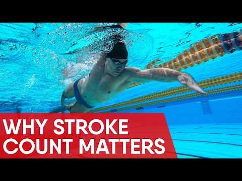 Why Swimmers Count Strokes (And Why You Should Too)