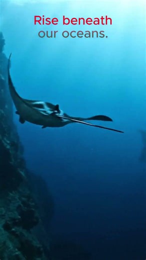 Mountains Hidden Under the Oceans #ocean #mountains #shorts #reels