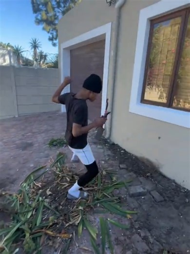 How to Clean: A Fun Comedy Guide