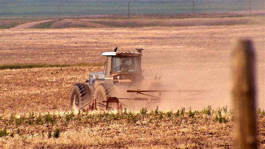 'Agricultural disaster' declared in parts of Alberta thanks to years of drought