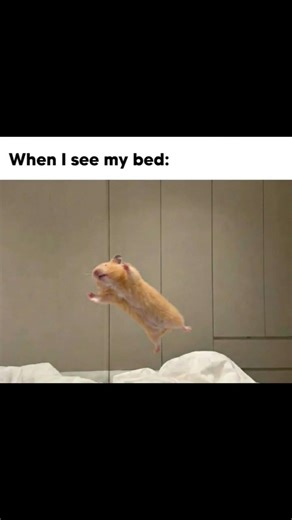 That feeling ❤️ Funny meme video clips #meme