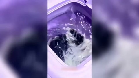 Portable Top Load Washing Machine with Detachable Drain Basket