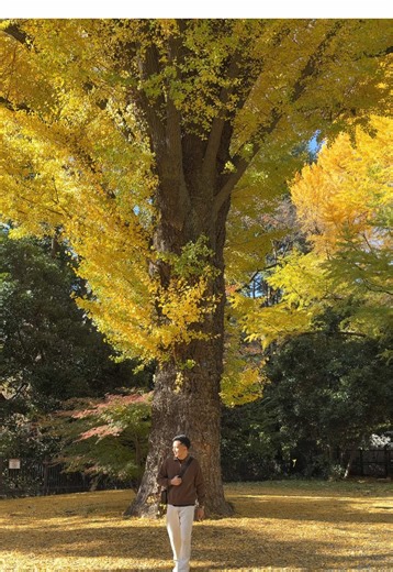 From my POV, in case you missed Japan 🇯🇵 #foryoupage #japan #trending #fuji #universalstudios