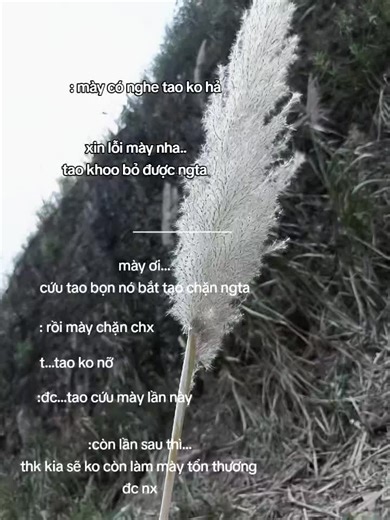 bỏ tgian nhận lại bằng ko..#buon_tam_trang #tinhyeu #captamtrang #xuhuong #viral