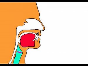 Human Voice, Rate My Science