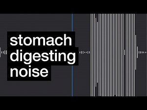 Huge Stomach Digesting Noises | My Stomach Makes Noises