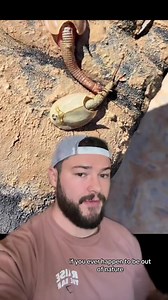 These Creatures “Forgot” To Evolve 🤔 | IdkSterling